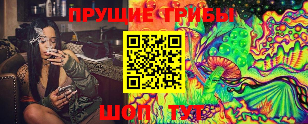 Галлюциногенные грибы Psilocybe  Вход с VPN  Тулун  Псилоцибиновые грибы Cubensis 